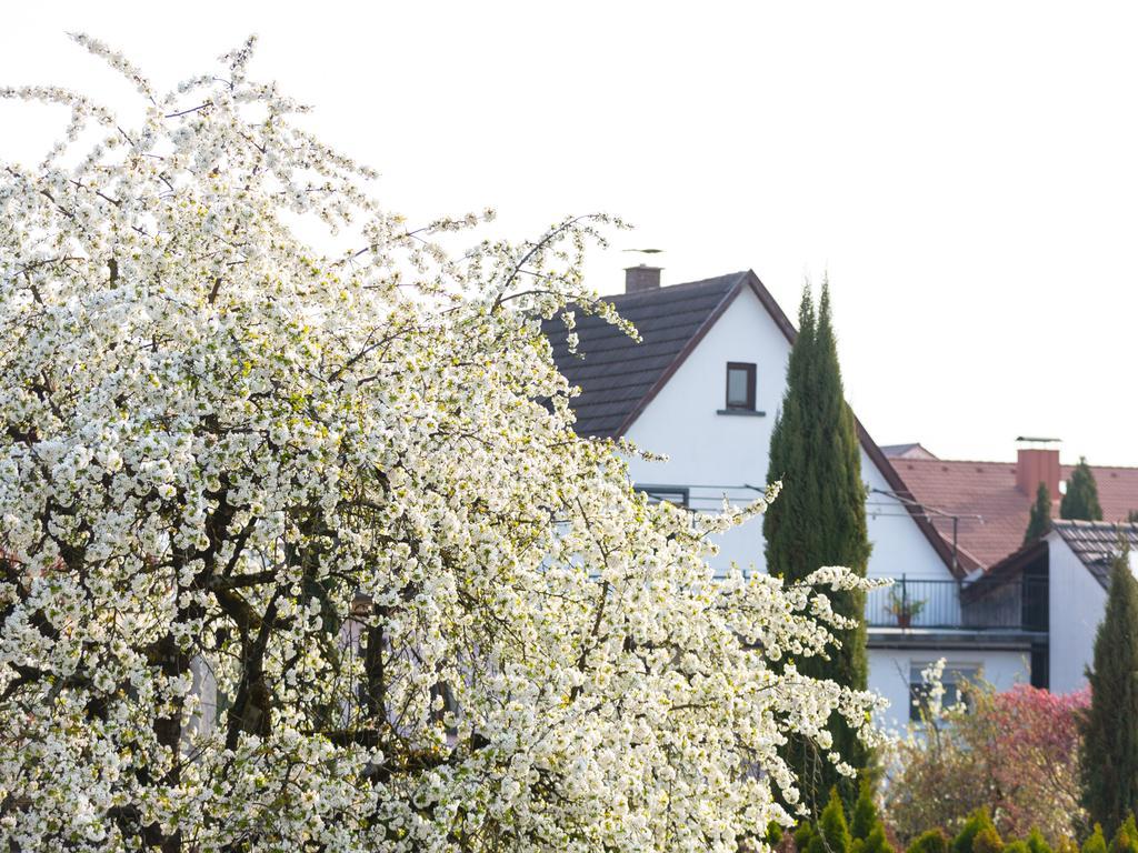 Living Timeless - Ruster Drachennest, Zentrale Lage In Rust, Nur Wenige Minuten Zum Europa-Park & Rulantica 외부 사진